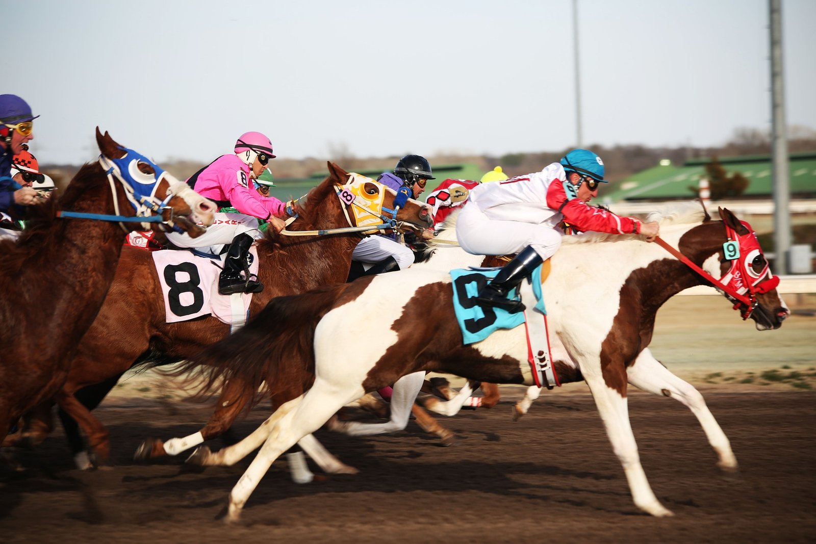 Handicaps Horses Race